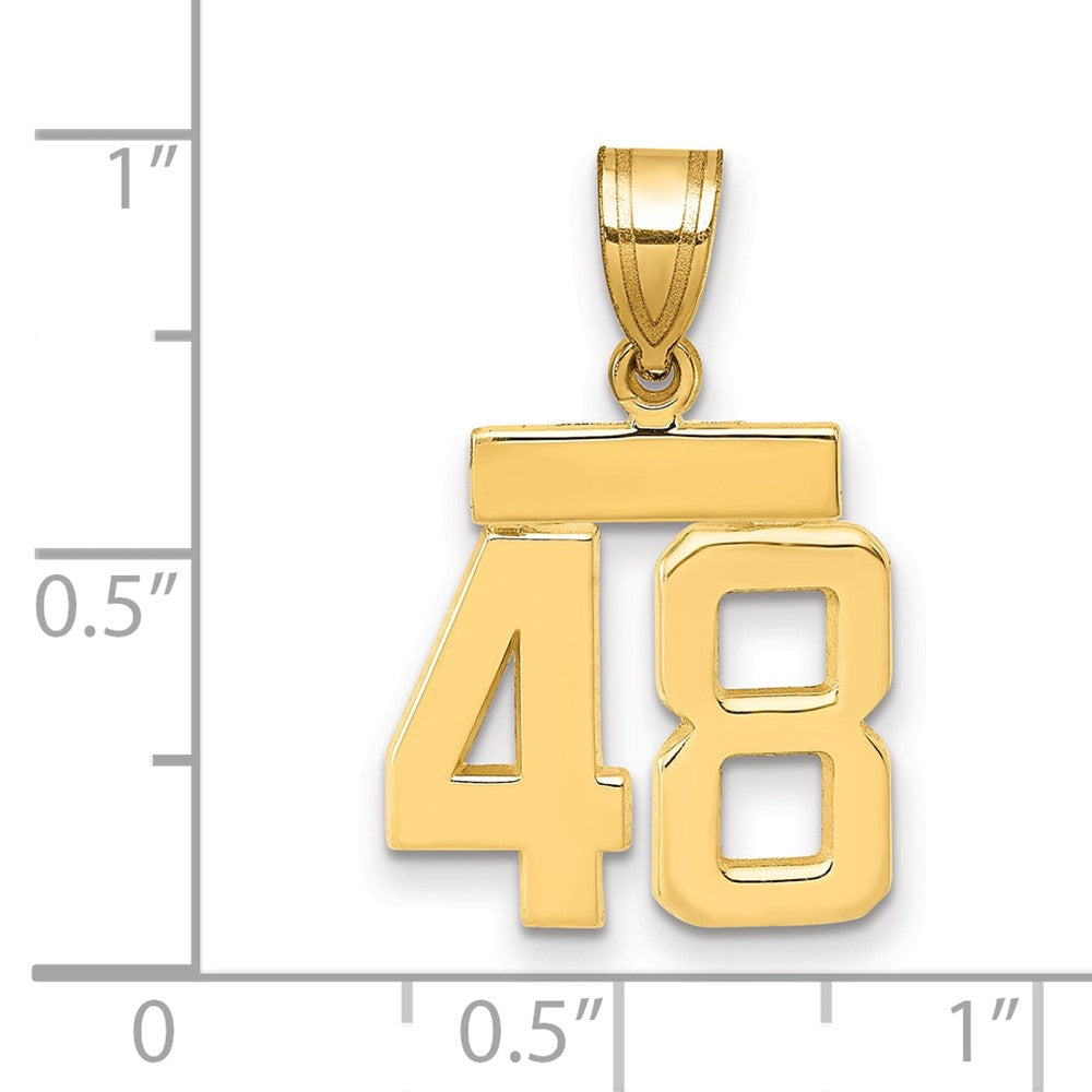 14K Gelbgold Kleiner Polierter Charm „Zahl 48