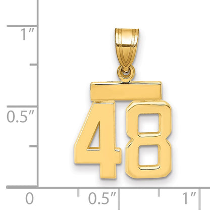 14K Gelbgold Kleiner Polierter Charm „Zahl 48