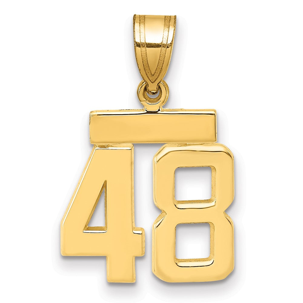 14K Gelbgold Kleiner Polierter Charm „Zahl 48