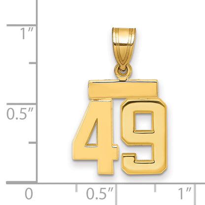 14K Gelbgold Kleiner Polierter Charm Zahl 49