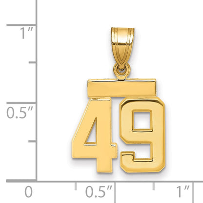 14K Gelbgold Kleiner Polierter Charm Zahl 49