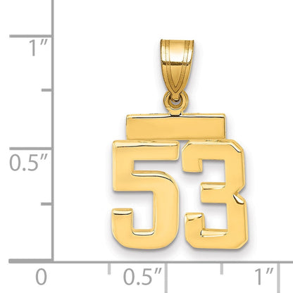14K Gelbgold Kleiner Polierter Charm „Zahl 53“