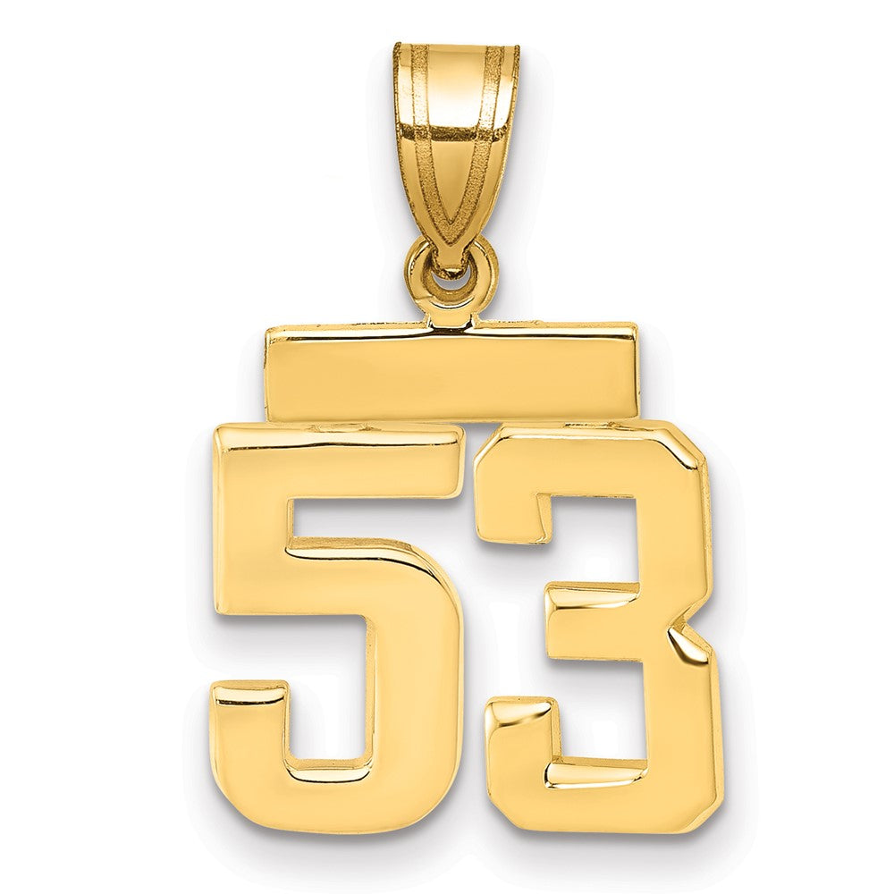 14K Gelbgold Kleiner Polierter Charm „Zahl 53“