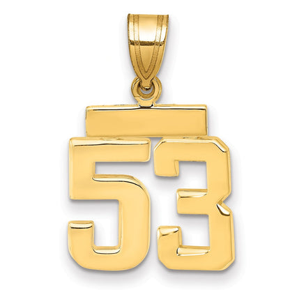 14K Gelbgold Kleiner Polierter Charm „Zahl 53“