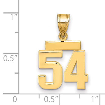 14K Gelbgold Kleiner Polierter Charm Zahl 54