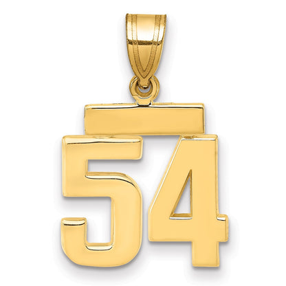 14K Gelbgold Kleiner Polierter Charm Zahl 54