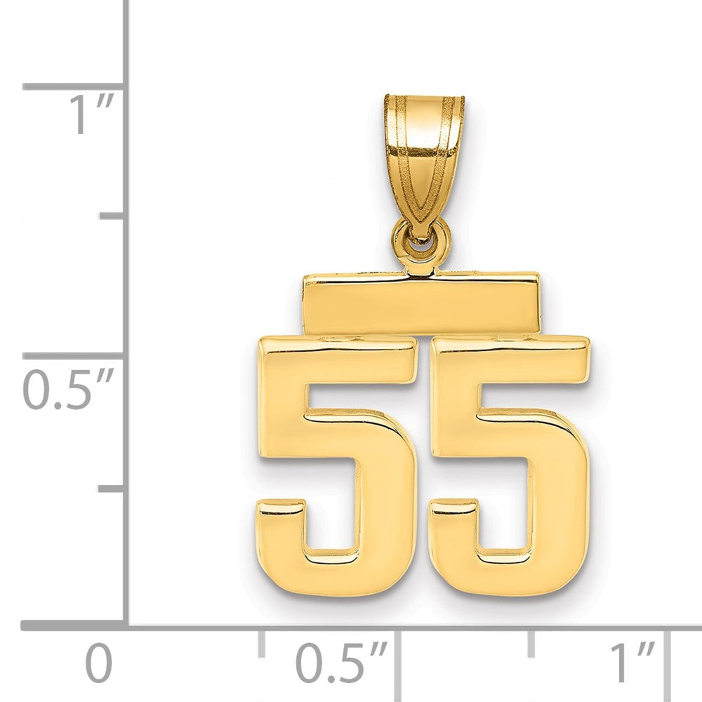 14K Gelbgold Kleiner Polierter Charm Zahl 55