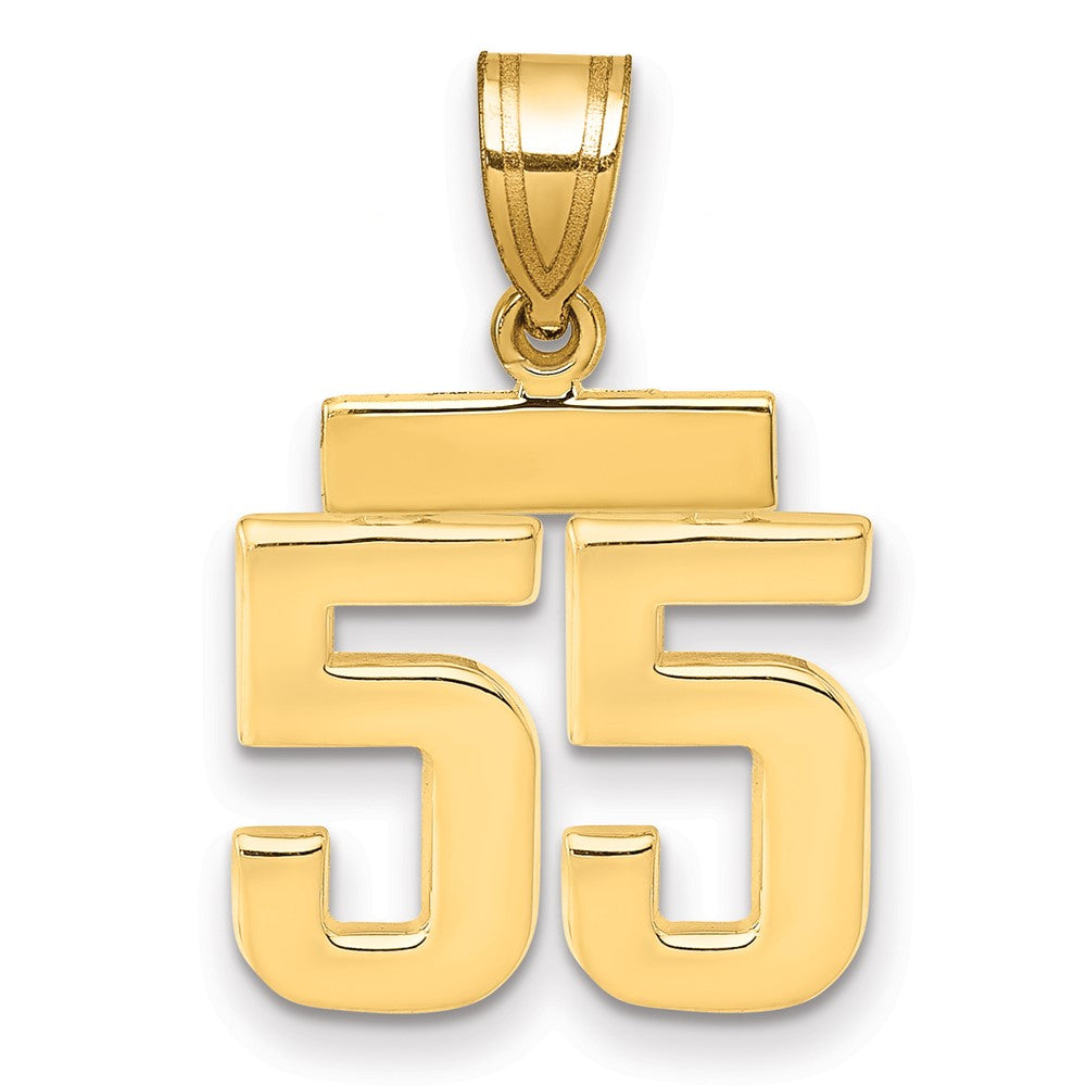 14K Gelbgold Kleiner Polierter Charm Zahl 55