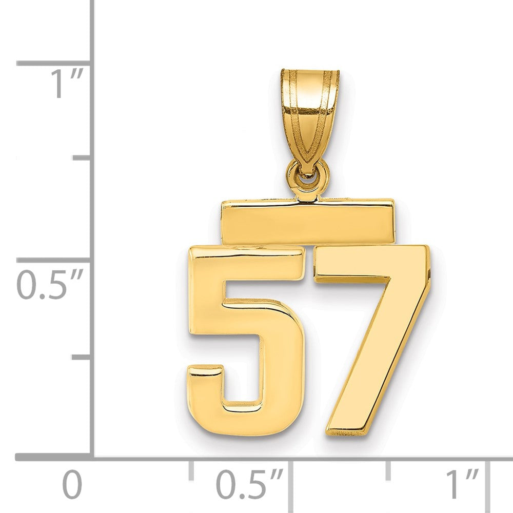 14K Gelbgold Kleiner Polierter Charm Zahl 57