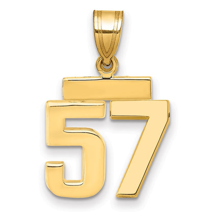 14K Gelbgold Kleiner Polierter Charm Zahl 57