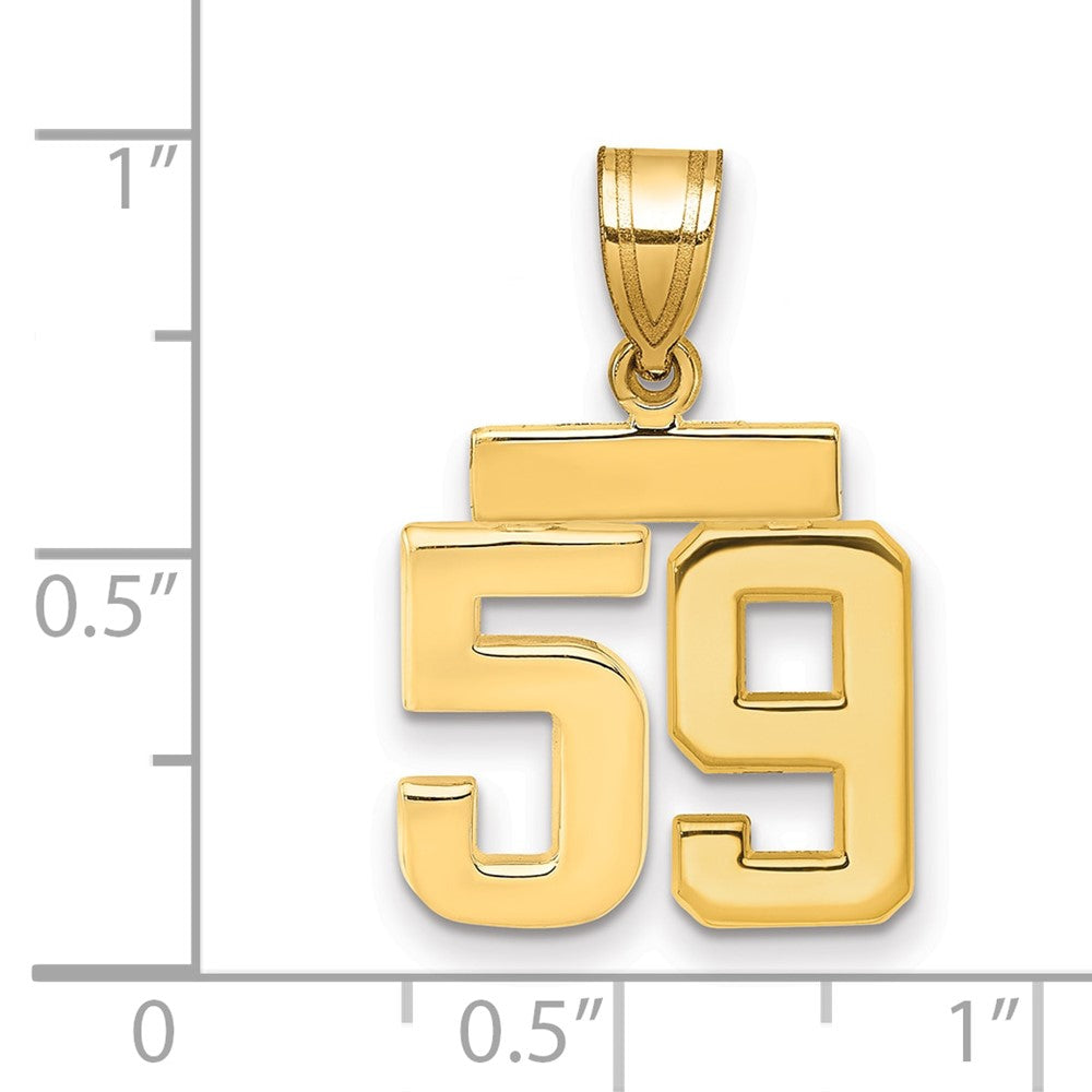 14K Gelbgold Kleiner Polierter Charm Zahl 59