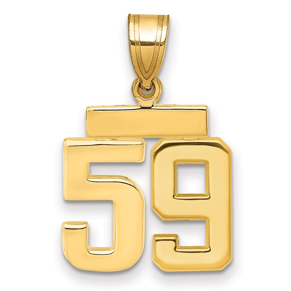 14K Gelbgold Kleiner Polierter Charm Zahl 59