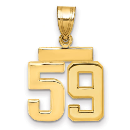 14K Gelbgold Kleiner Polierter Charm Zahl 59