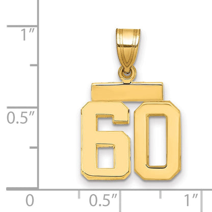 14K Gelbgold kleiner polierter Charm "Zahl 60
