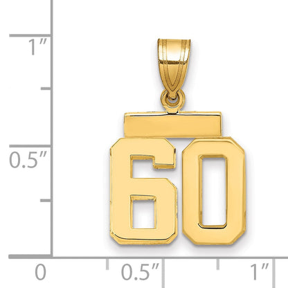 14K Gelbgold kleiner polierter Charm "Zahl 60