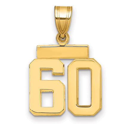14K Gelbgold kleiner polierter Charm "Zahl 60