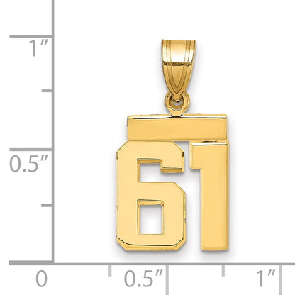 14K Gelbgold kleiner polierter Charm „Zahl 61“