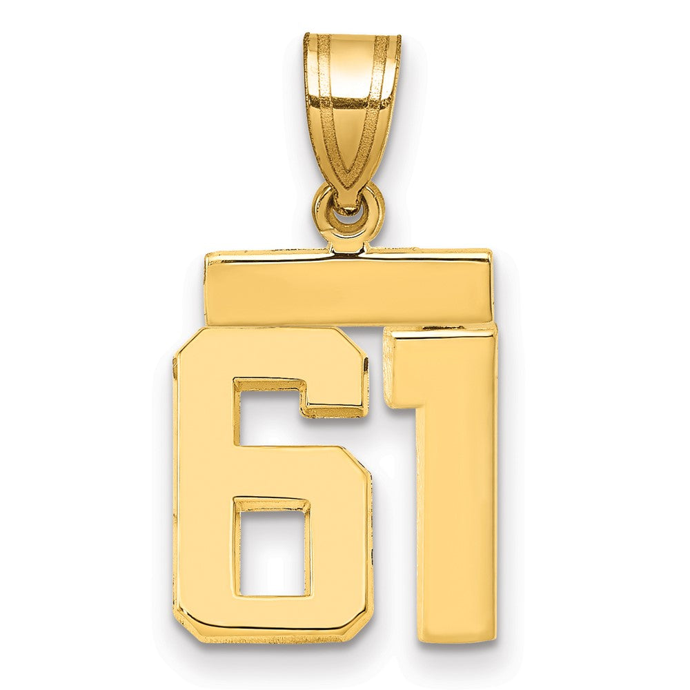14K Gelbgold kleiner polierter Charm „Zahl 61“