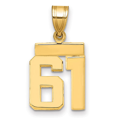 14K Gelbgold kleiner polierter Charm „Zahl 61“