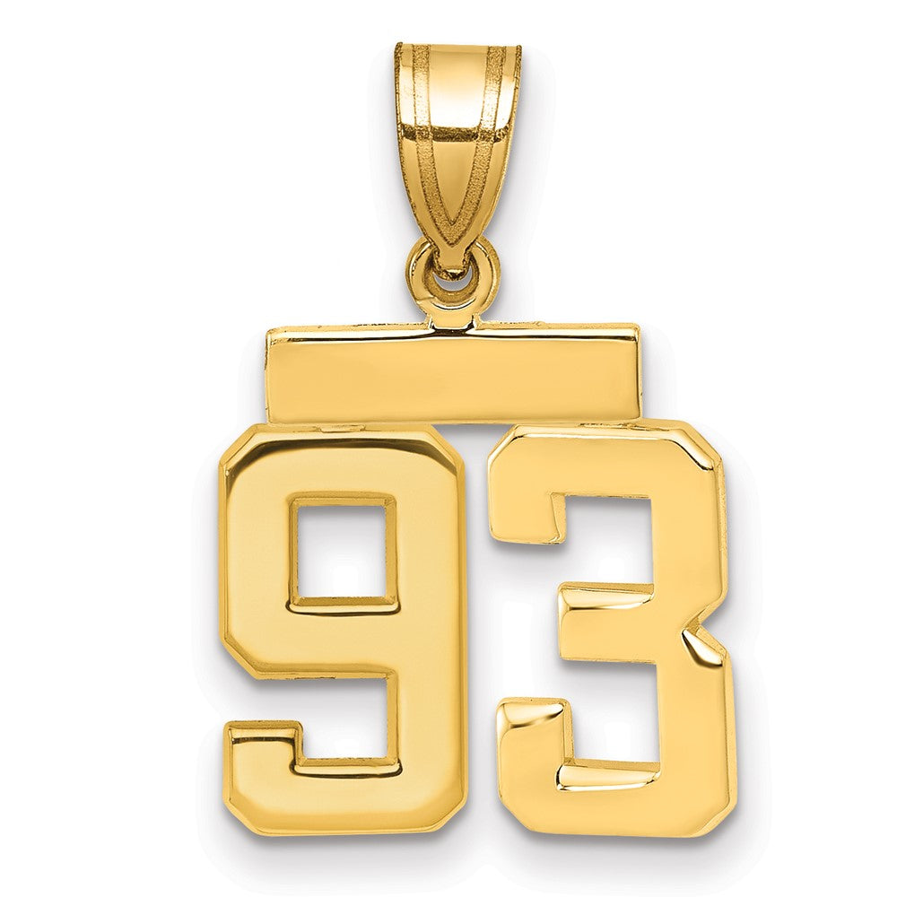 14K Gelbgold kleiner polierter Zahl-93-Charm