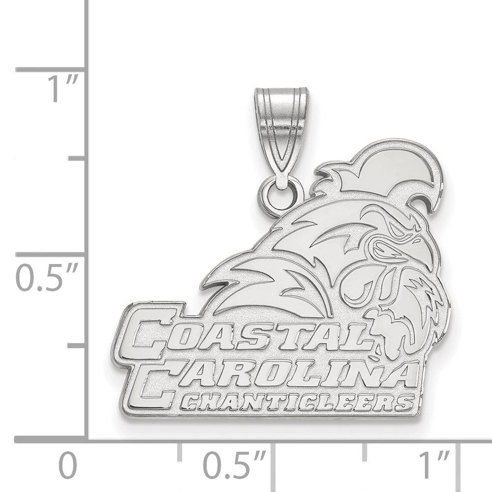 10K Weißgold Logoart Coastal Carolina University Chanticleers Groß Anhänger
