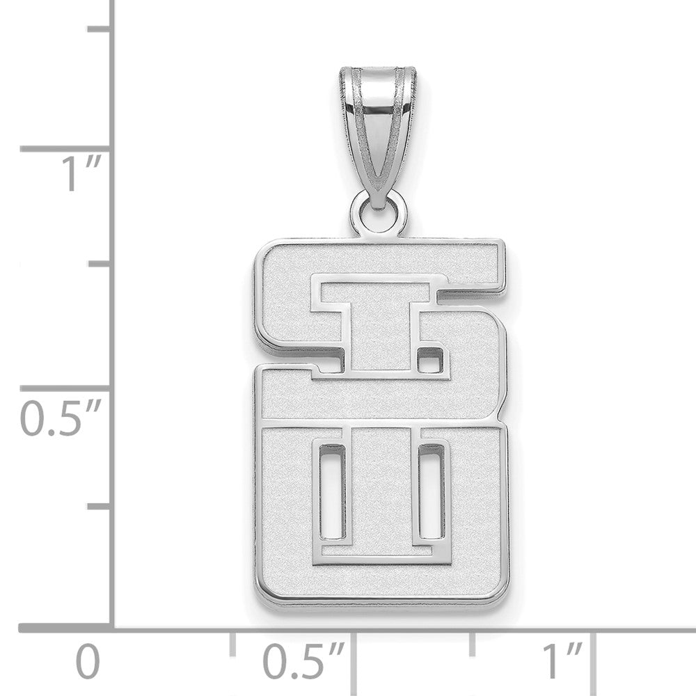 10K Weißgold 10kw Logoart Southern Illinois University Groß Anhänger