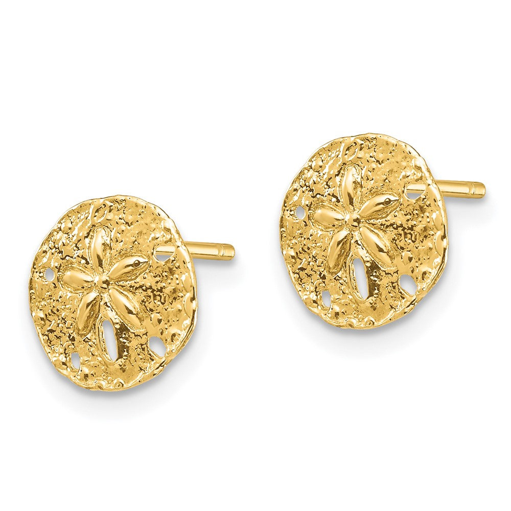 14K Gelbgold Sand Dollar Ohrstecker