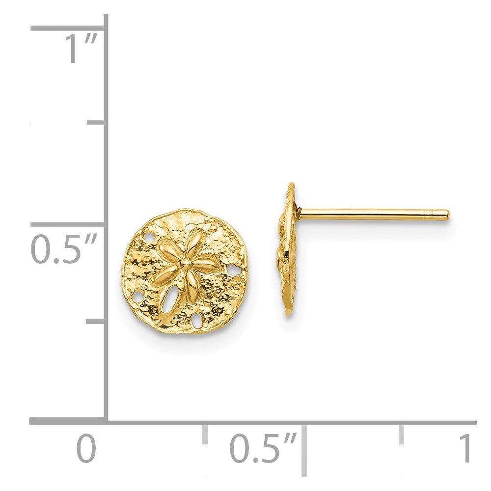 14K Gelbgold Sand Dollar Ohrstecker