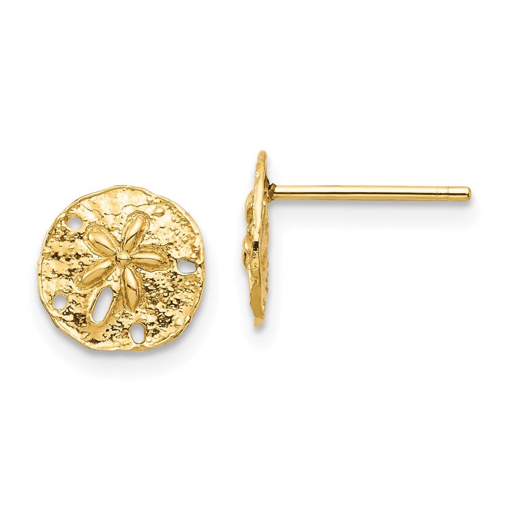 14K Gelbgold Sand Dollar Ohrstecker