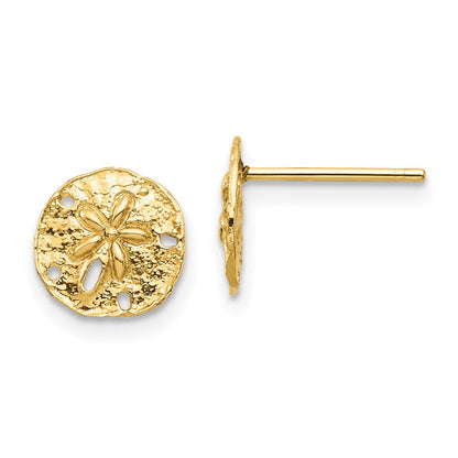 14K Gelbgold Sand Dollar Ohrstecker