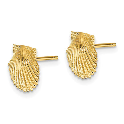 14K Gelbgold Muschel Ohrstecker
