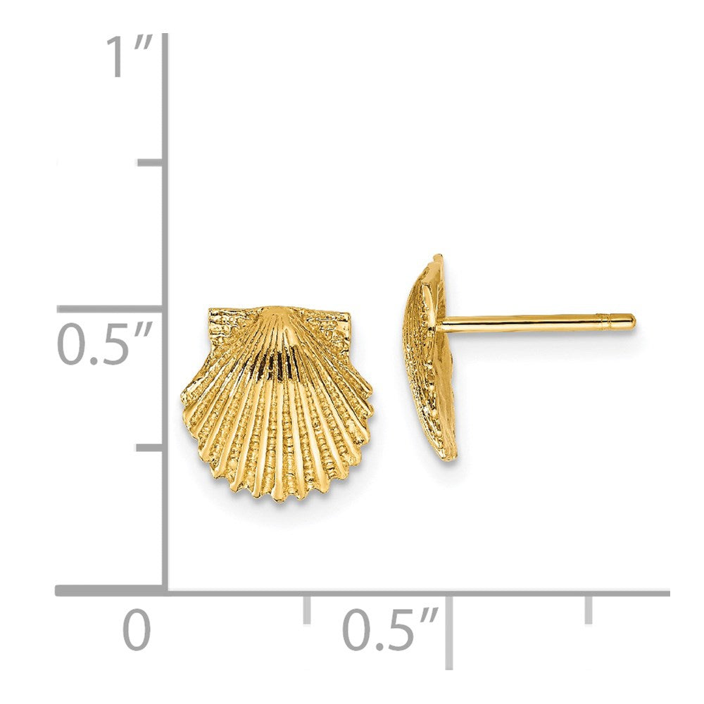 14K Gelbgold Muschel Ohrstecker