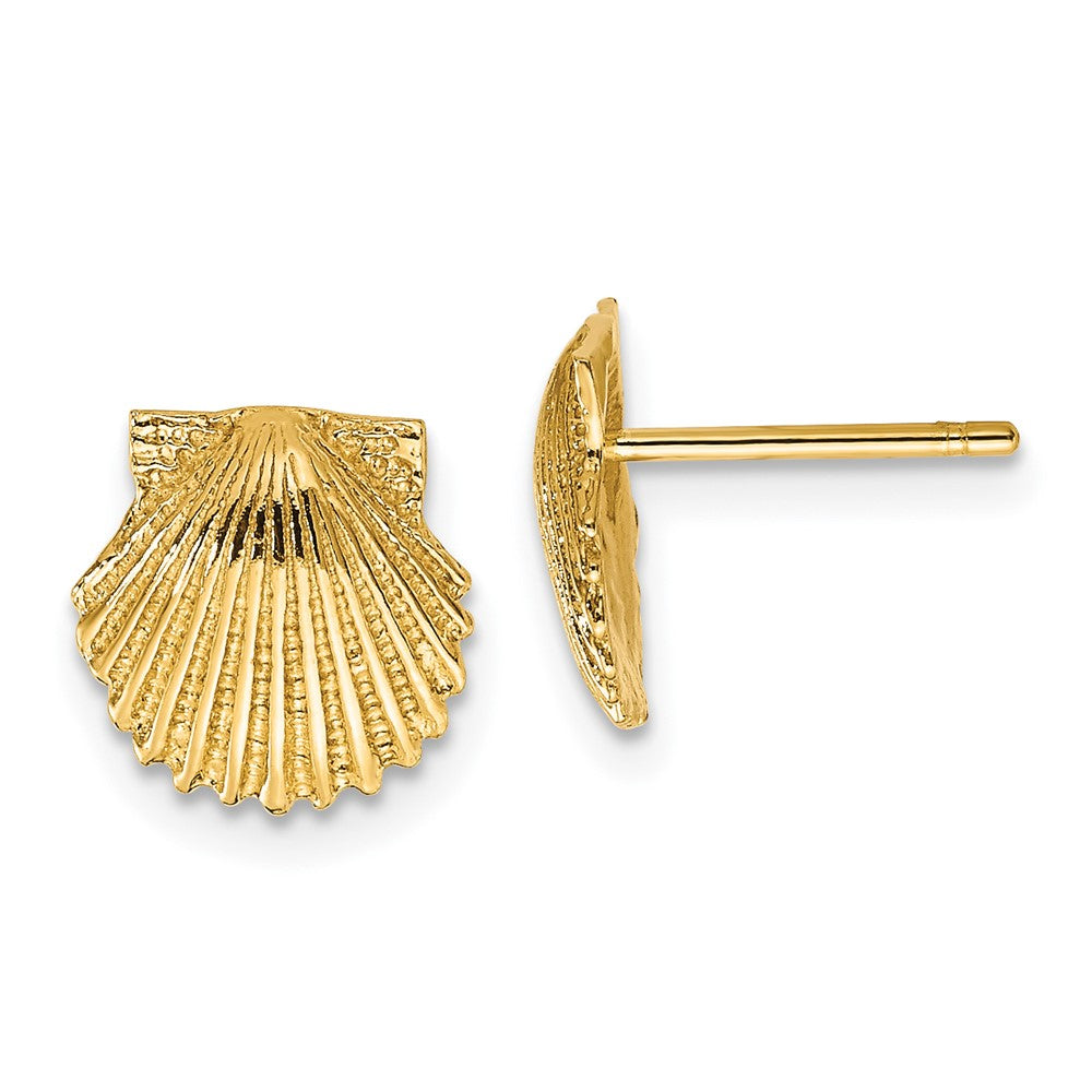 14K Gelbgold Muschel Ohrstecker