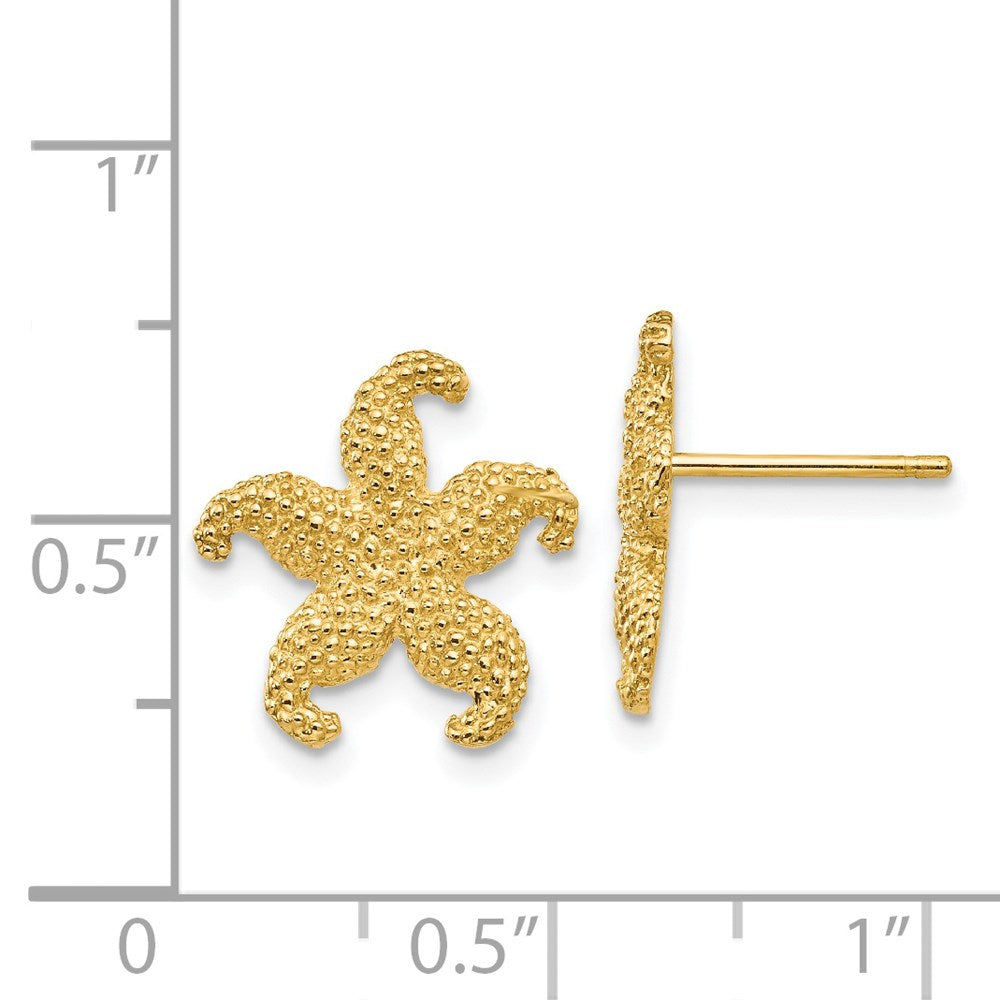 14K Gelbgold Seestern Ohrstecker