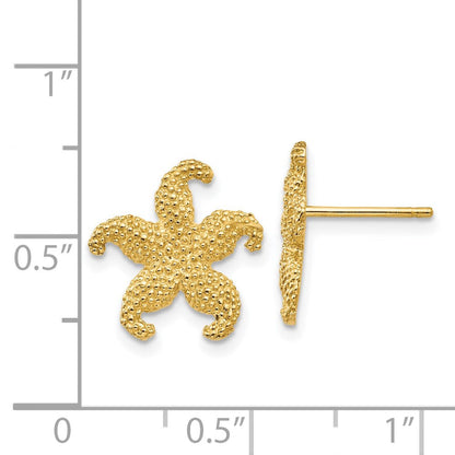 14K Gelbgold Seestern Ohrstecker