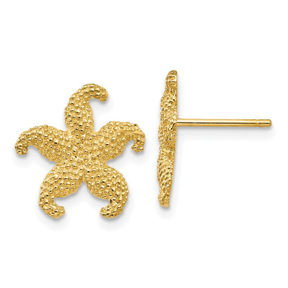 14K Gelbgold Seestern Ohrstecker