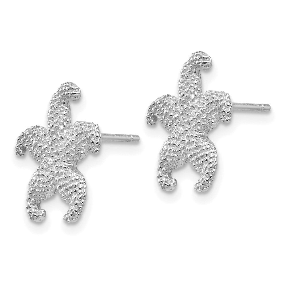 14K Weißgold Seestern Ohrstecker