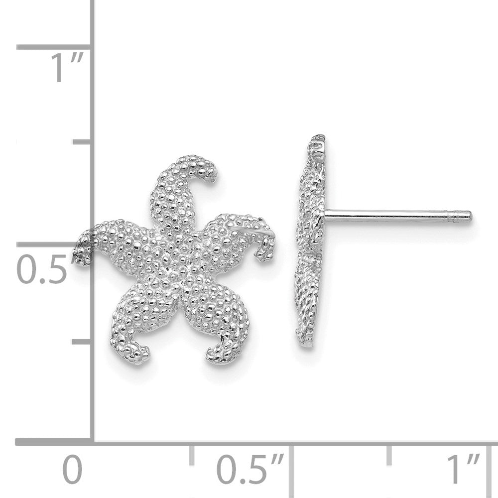 14K Weißgold Seestern Ohrstecker
