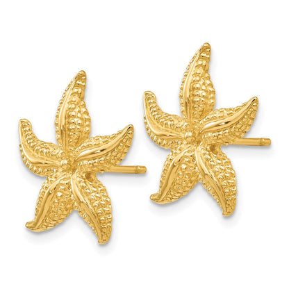 14K Gelbgold Seestern Ohrstecker