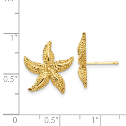 14K Gelbgold Seestern Ohrstecker