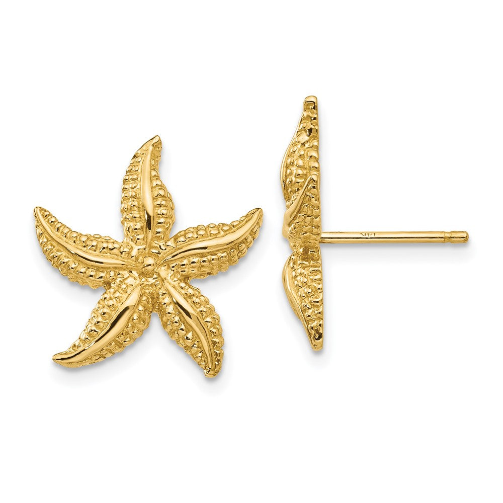 14K Gelbgold Seestern Ohrstecker
