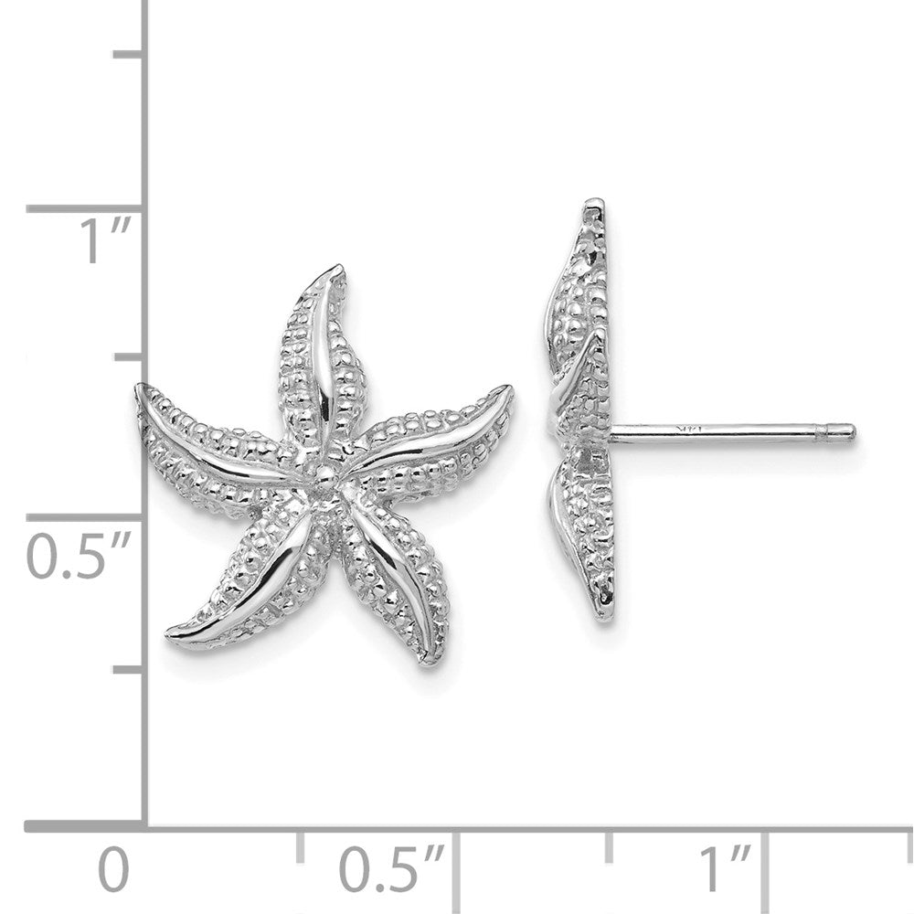 14K Weißgold Seestern Ohrstecker