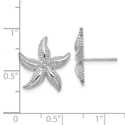 14K Weißgold Seestern Ohrstecker