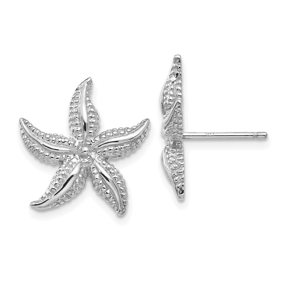 14K Weißgold Seestern Ohrstecker
