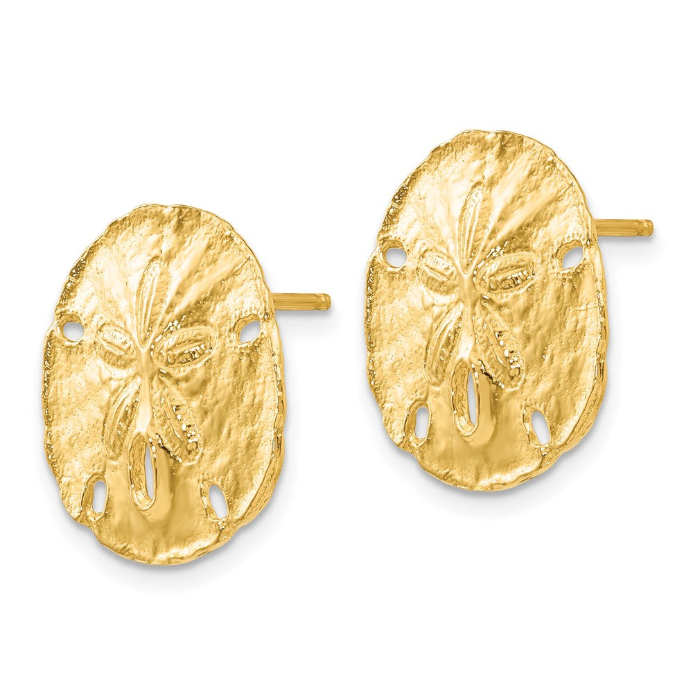 14K Gelbgold Groß Sanddollar Ohrstecker