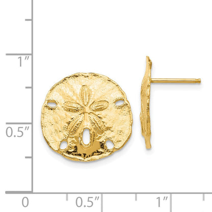 14K Gelbgold Groß Sanddollar Ohrstecker