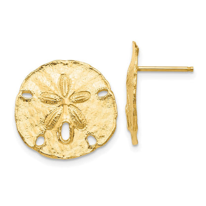 14K Gelbgold Groß Sanddollar Ohrstecker