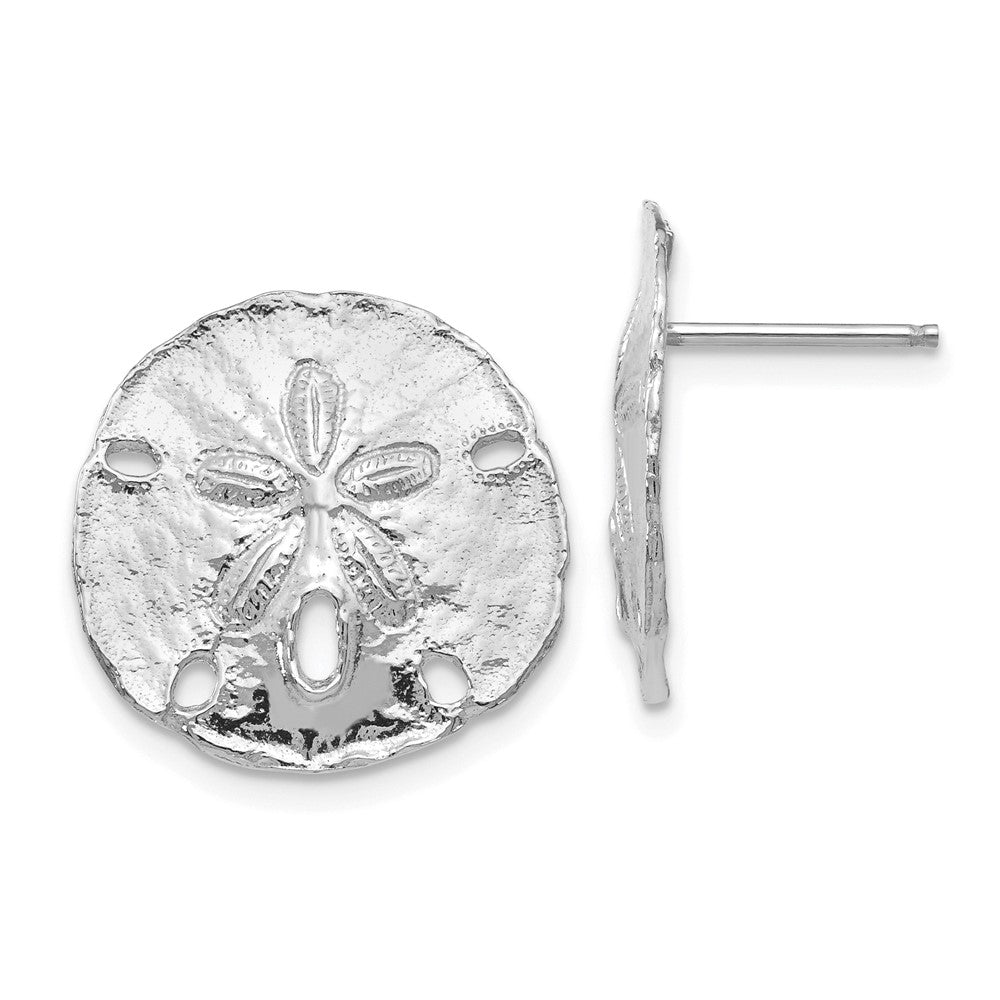 14K Weißgold Groß Sanddollar Ohrstecker