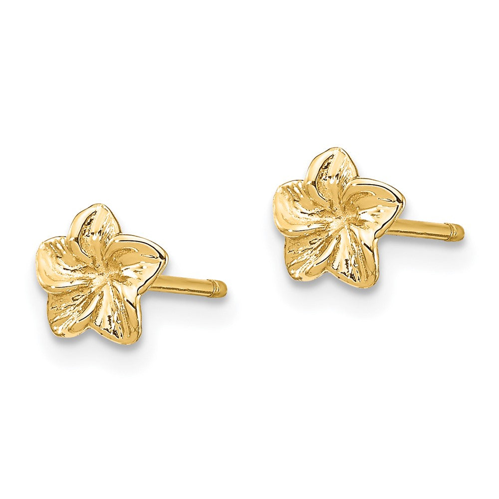14K Gelbgold Plumeria Blume Ohrstecker