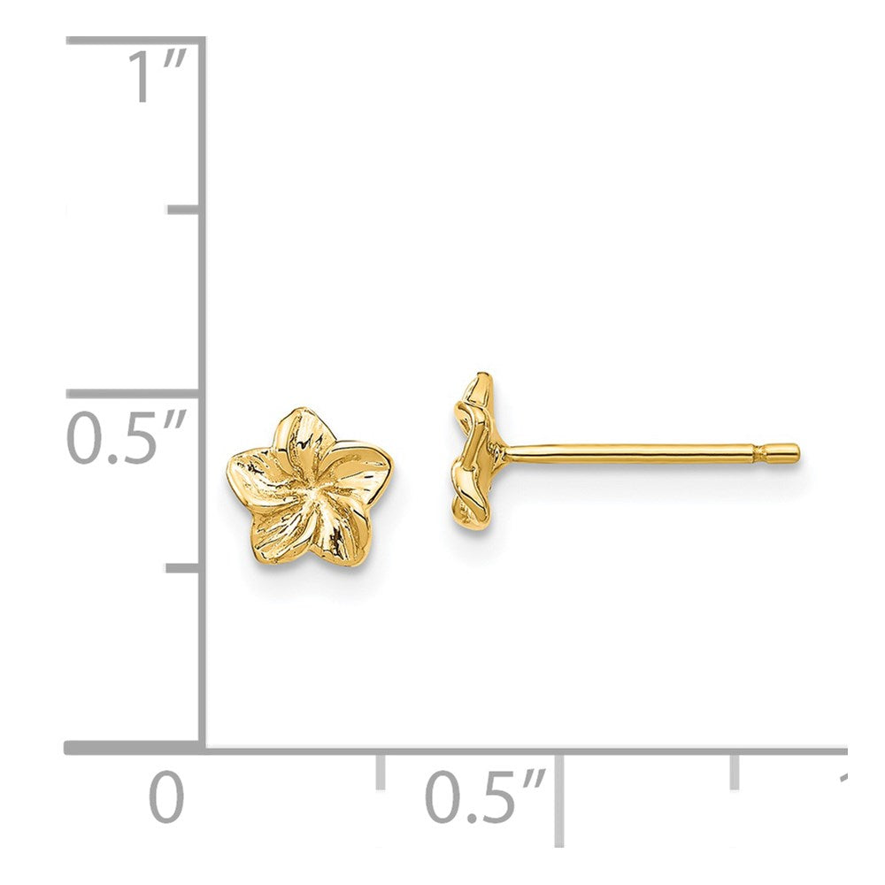 14K Gelbgold Plumeria Blume Ohrstecker